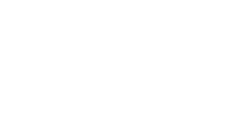 Felix - Name Logotype (Transparent White Skii) (1)